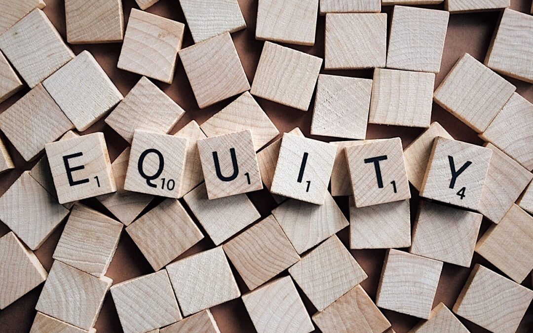 Long Term Equity Incentive Plans in Compensation